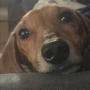 Meet your Posher, Marcy